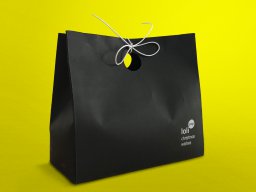Paper bag for Christmas gift packaging